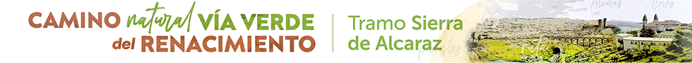 publicidad