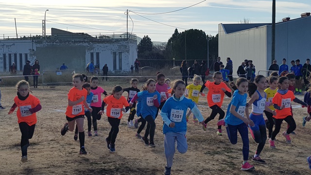 500 jóvenes se reúnen en el campeonato de deporte en edad escolar en el circuito de campo a través en Tobarra
