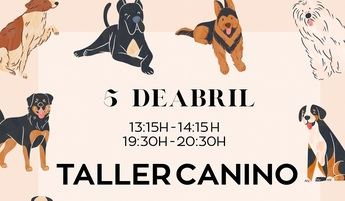 El Ayuntamiento ofrece un taller gratuito de educación canina en el barrio Medicina