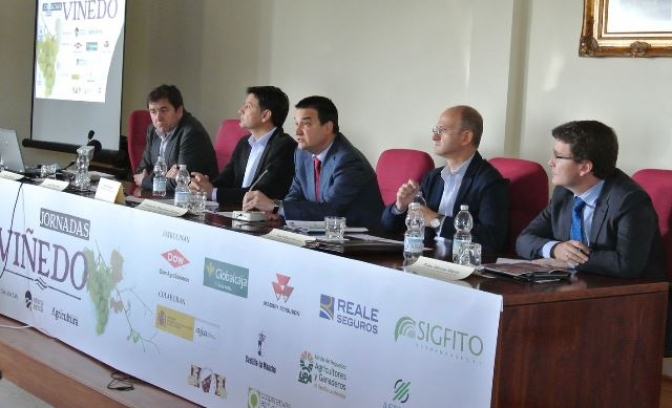 Mucha actividad en la Jornada de Viñedo en la Cooperativa Vinícola de Villarrobledo