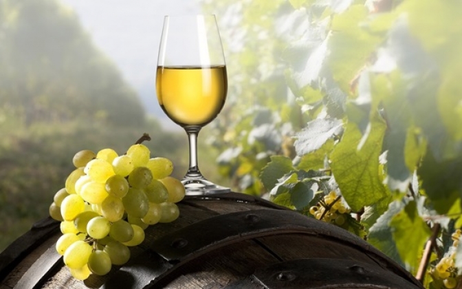 Los vinos gallegos y su expansión por el mercado mundial