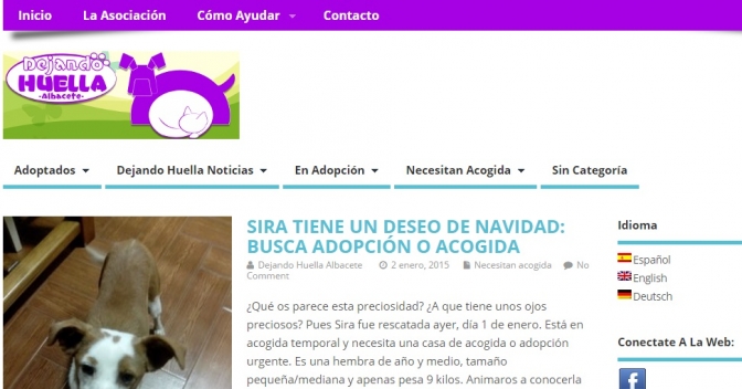 La Asociación en defensa de los animales 'Dejando huella' de Albacete hace balance de sus primeros meses de vida