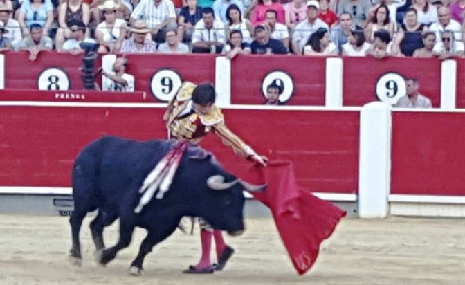 Aprobada la prórroga por un año para la gestión de la programación taurina de la Plaza de Toros de Albacete