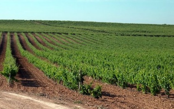 DOCM publica la reestructuración de competencias de Agricultura para darle más eficacia en el control de ayudas