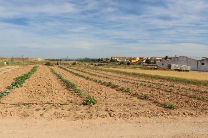 IU Alborea denuncia el uso para riego del suministro de agua potable de la localidad