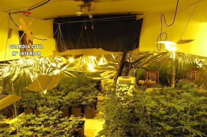 La Guardia Civil desmantela un laboratorio de marihuana con 138 plantas en Yuncler