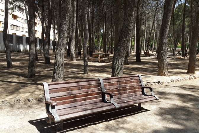 Absoluta dejadez del Ayuntamiento de Albacete ante la ‘invasión’ de palomas en la ciudad