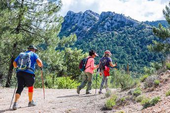 Dos nuevas citas de las Rutas de Senderismo de la Diputación, este fin de semana en Bienservida y Elche de la Sierra