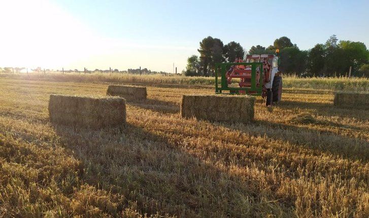 11 detenidos en Albacete por explotar a 94 trabajadores agrícolas a los que tenían en condiciones infrahumanas