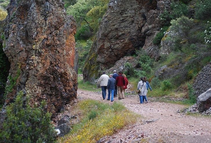 Centros docentes de C-LM podrán pedir desde este jueves ayudas al transporte para hacer visitas a espacios naturales