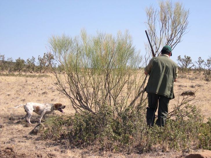 Buscan a un cazador de 67 años procedente del País Vasco en un coto de Buenache de la Sierra (Cuenca)