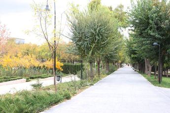 Dos heridos, entre ellos un menor, tras una pelea multitudinaria en el parque de las Tres Culturas de Toledo