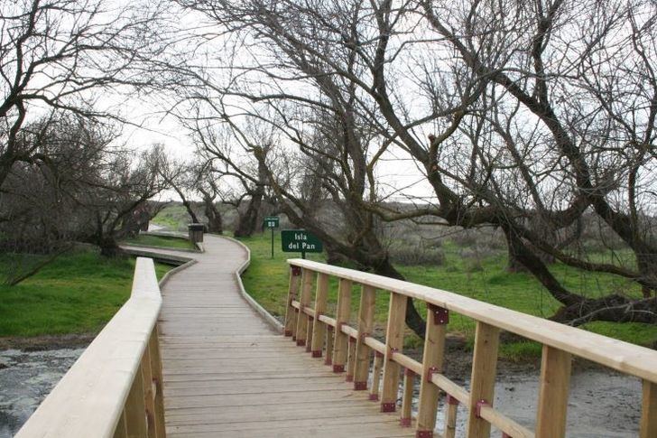 Las Tablas de Daimiel y circuitos culturales por Albacete y Toledo, entre los nuevos destinos de los viajes del Imserso