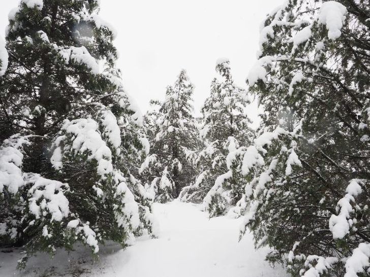 C-LM activa el Meteocam en fase de alerta en toda la región ante la tormenta invernal de nieve y viento