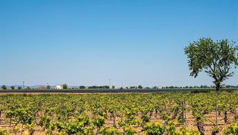 Asaja denuncia una oleada de robos en el campo en la comarca de Campo de Criptana y que se intensifique la seguridad