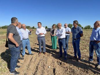 Cuatro comunidades de regantes de Albacete con 500 agricultores recibirán 7,4 millones para mejorar eficiencia