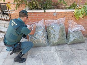 Interceptado en Membrilla un conductor que transportaba 19 kilos de marihuana