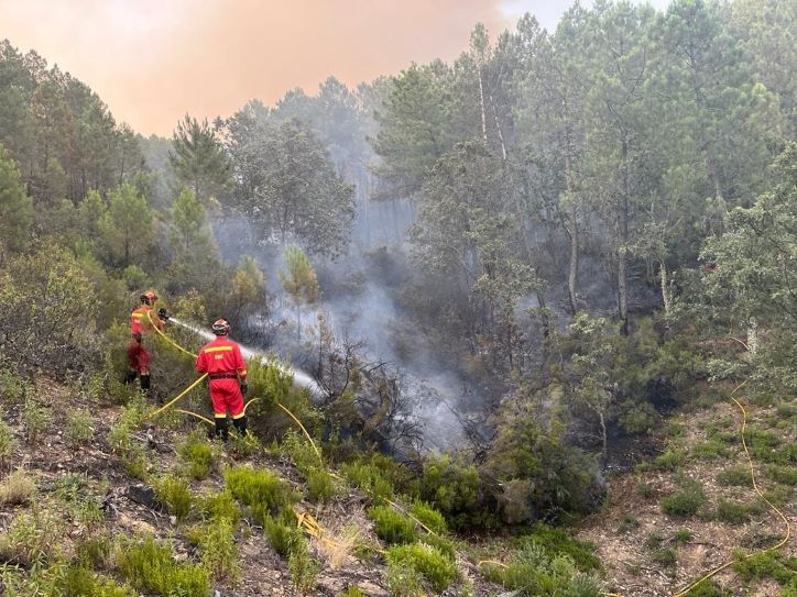 Extinguido el fuego declarado la semana pasada en Sevilleja de la Jara (Toledo)