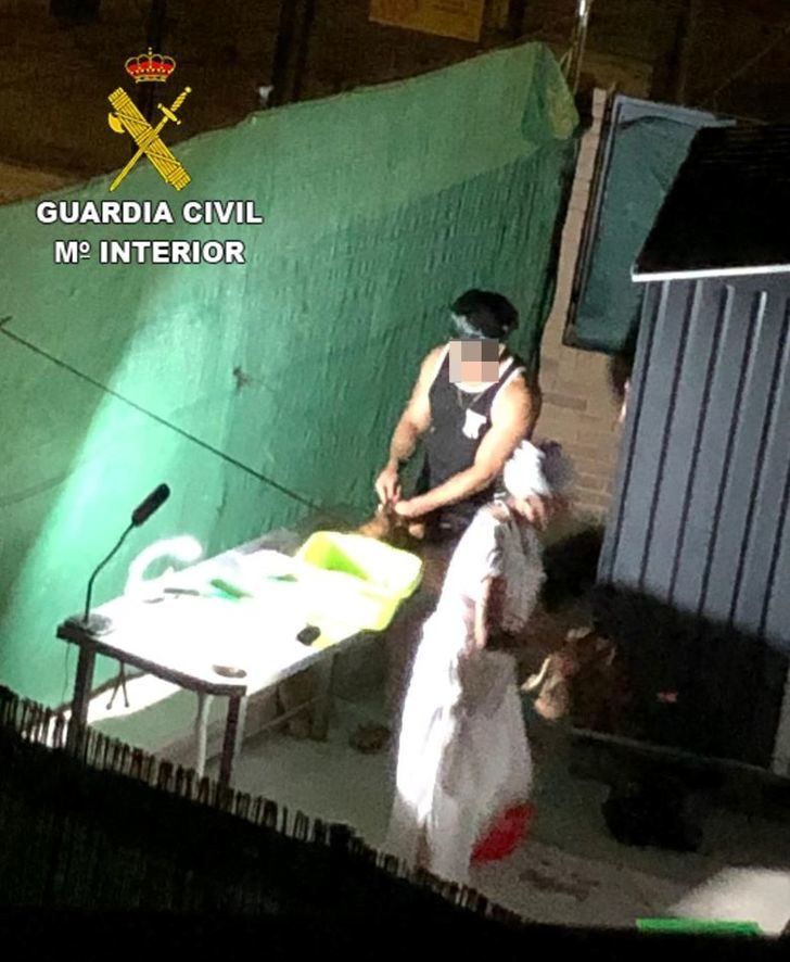 Investigan a un hombre que realizaba trabajos de santería matando a animales de granja en Yuncos (Toledo)