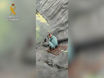 El Seprona rescata a dos perros del interior de una balsa de riego a la que habían caído en Moral de Calatrava