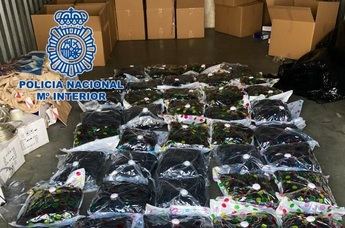 34 detenidos y 3.436 plantas incautadas en la mayor operación contra tráfico de marihuana en Toledo en 2022