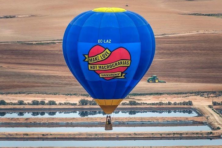 Greenpeace sobrevuela en globo una macrogranja en Hellín (Albacete) para exigir el fin de la ganadería industrial
