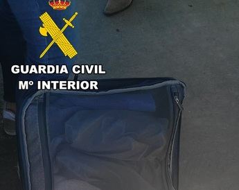 Detenidos dos varones y una mujer por robar en dos vehículos de áreas de servicio de la A-3 en Cuenca