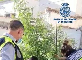 Seis detenidos tras caer 'telecoca', un punto que distribuía droga en bici o patinete eléctrico en Valdepeñas