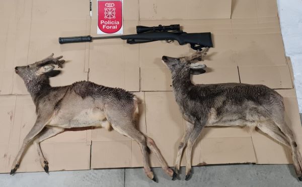 Denunciadas dos hombres en Pamplona por caza furtiva, uno de ellos vecino de Talavera de la Reina