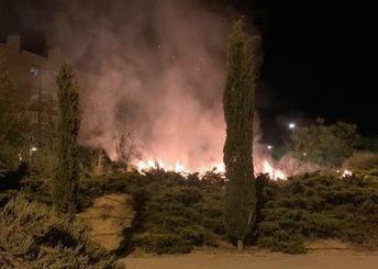 Sorprendidos cuatro menores quemando varios árboles en el toledano barrio de Santa María de Benquerencia
