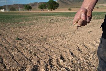 Rebaja el 25% en el IRPF para ayudar a 800.000 agricultores y ganaderos por la sequía, 86.000 en C-LM