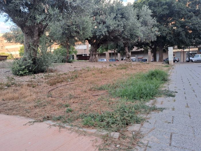 PSOE Albacete denuncia el 'lamentable' estado en el que se encuentra el Parque Félix Rodríguez de la Fuente de la ciudad