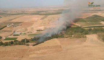 La campaña de incendios forestales en C-LM concluye con 1.300 hectáreas quemadas frente a las 14.000 de 2022