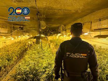 Dos detenidos por el cultivo de 850 plantas de marihuana en una parcela industrial de Sonseca (Toledo)