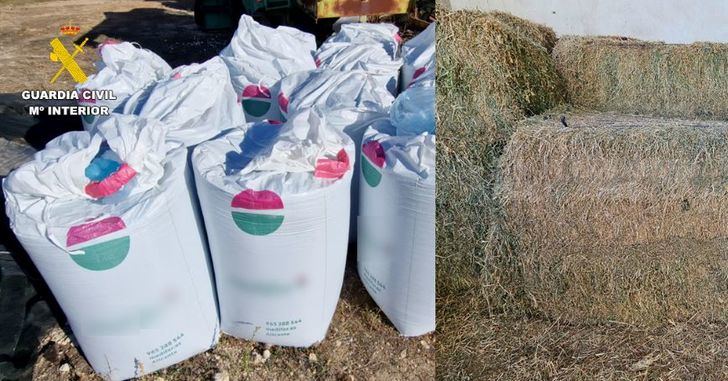 Detenidos dos hombres, con antecedentes, por robar palets de cebollas, abono y pacas de alfalfa en Albacete