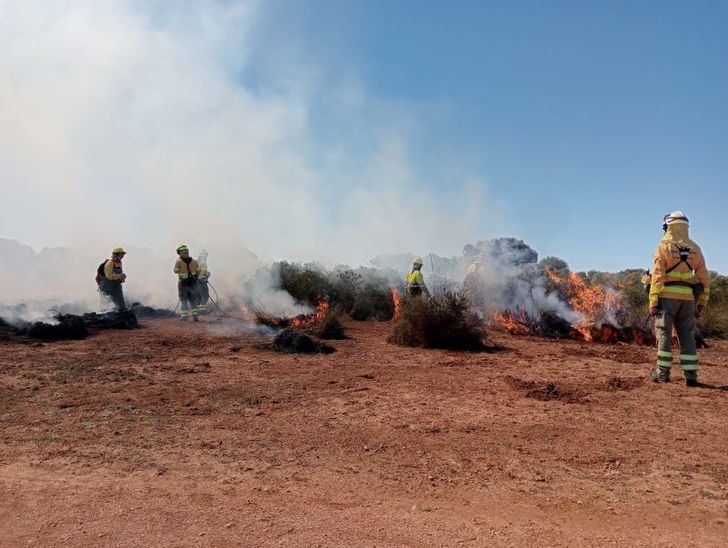 Estudiantes de Montes y Forestales de UCLM y del Centro Integrado de FP de Aguas Nuevas 'plantan fuego amigo'