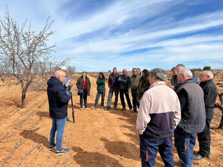 El Gobierno de Castilla-La Mancha resalta la importancia del cultivo del almendro en la provincia de Albacete