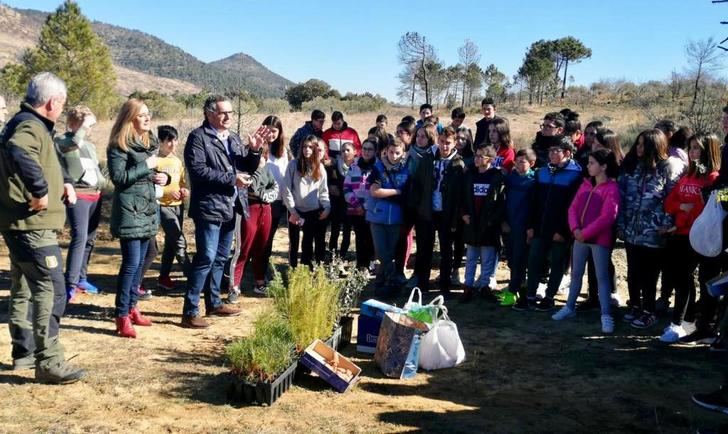 Continúan las labores de reforestación en la zona afectada por el incendio de Yeste y Molinicos