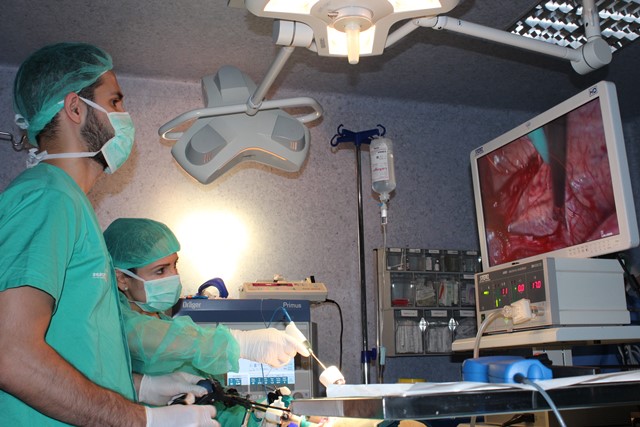 Médicos de urología en Albacete participan en un curso de adiestramiento para perfeccionar técnicas de cirugía laparoscópica