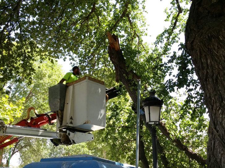 Imagen de archivo del Parque Lineal de Albacete