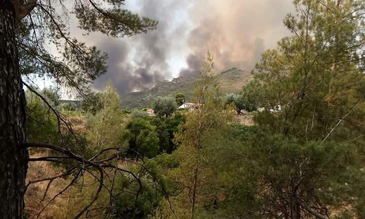 3.000 efectivos, 64 autobombas, 25 medios aéreos y 87 brigadas para luchar contra el fuego en Castilla-La Mancha