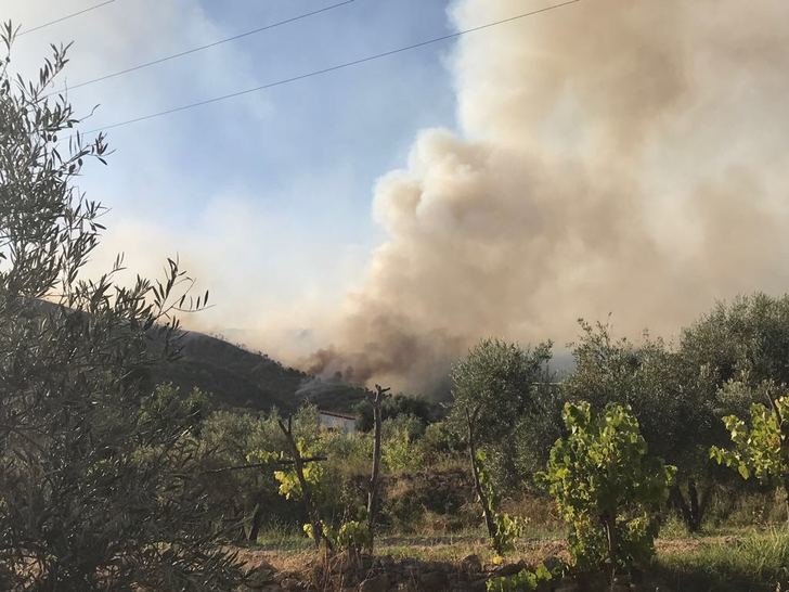 La lucha contra incendios en las comarcas de Hellín y Liétor (Albacete) contará con casi 800.000 euros de inversión
