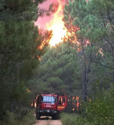 Delegados de Geacam dicen que el incendio de Yeste (Albacete) 'se fue' por falta de medios