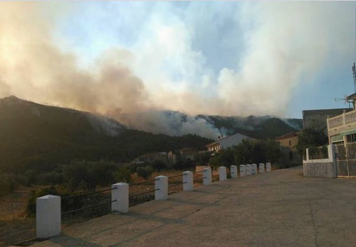 Aplicar medidas de restauración inmediatas tras un incendio forestal disminuye su impacto ecológico