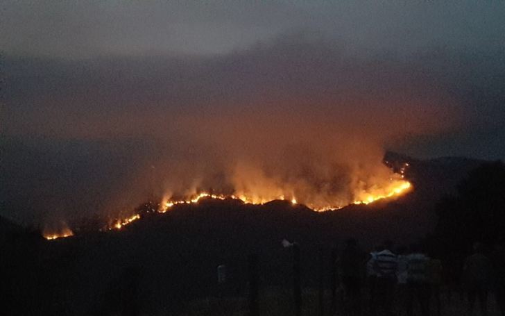 Castilla-La Mancha dedica 85 millones de euros a prevención y extinción de incendios en 2019