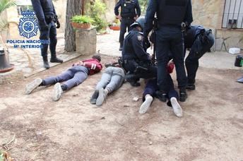 Desmantelada una plantación de marihuana en Alborea (Albacete) y detenidos tres hombres