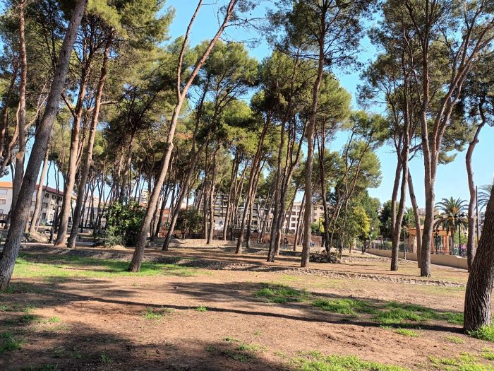 El nuevo aspecto que presenta el Parque Municipal tras la tala de 300 pinos