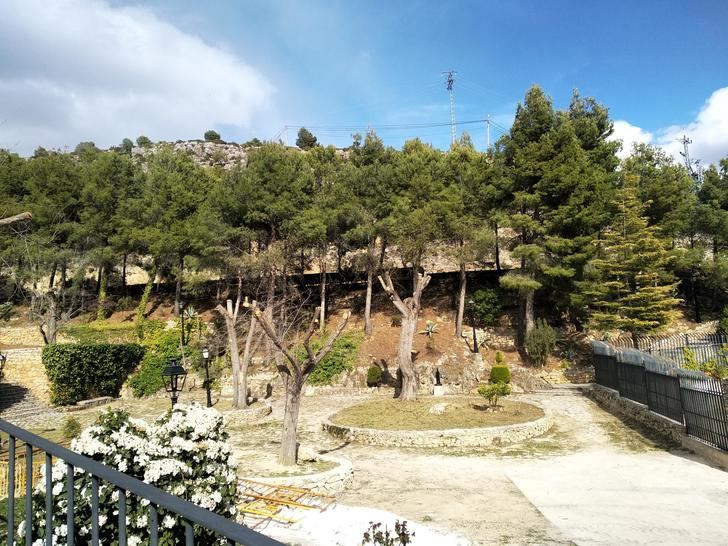 Yeste se Mueve muestra su preocupación por la tala indiscriminada de árboles en el parque de la Fuente Somera