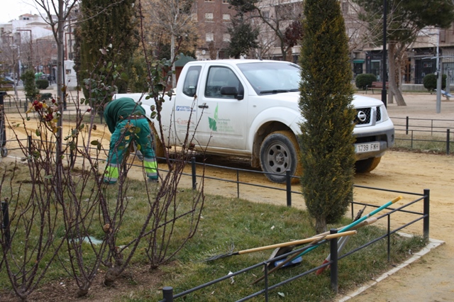 El Ayuntamiento de La Roda realiza una intensa replantación de sus zonas verdes