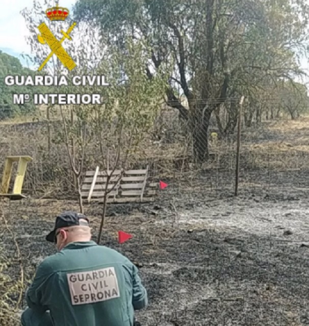 Investigan al presunto autor de un incendio forestal declarado en julio en Pozorrubio de Santiago (Cuenca)